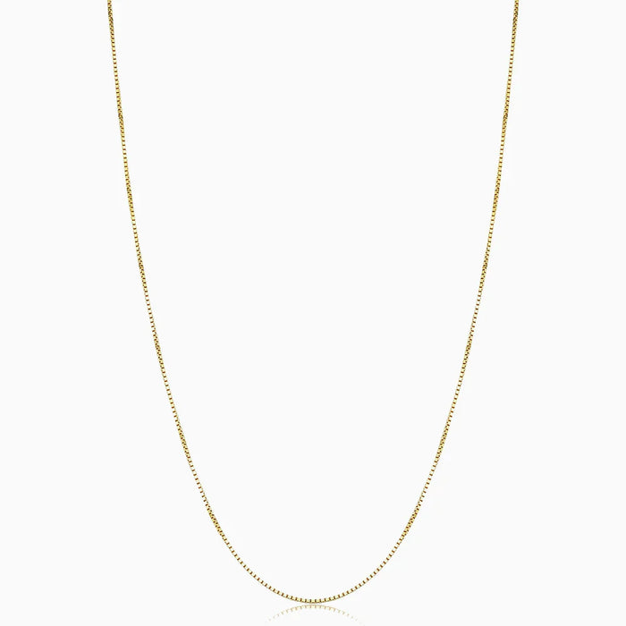 Collier Bodega Box