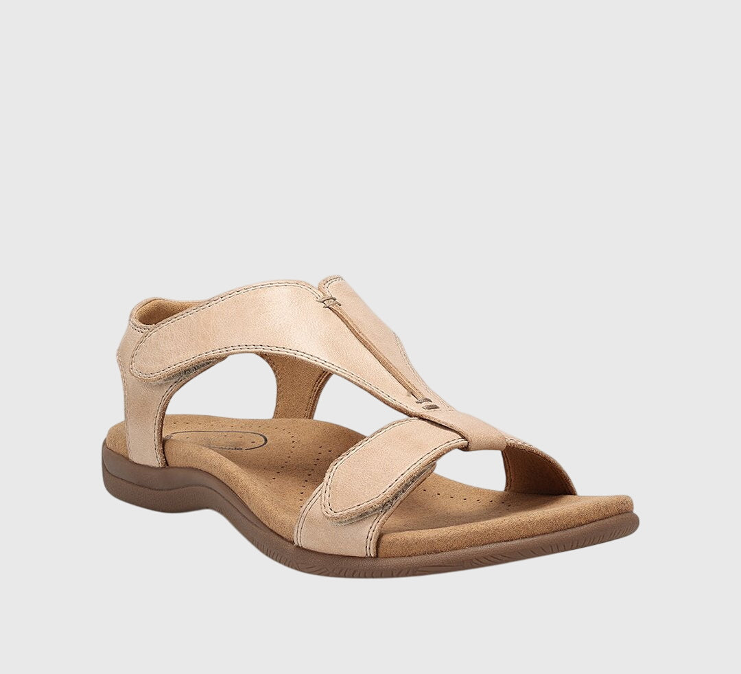 Beige / 35