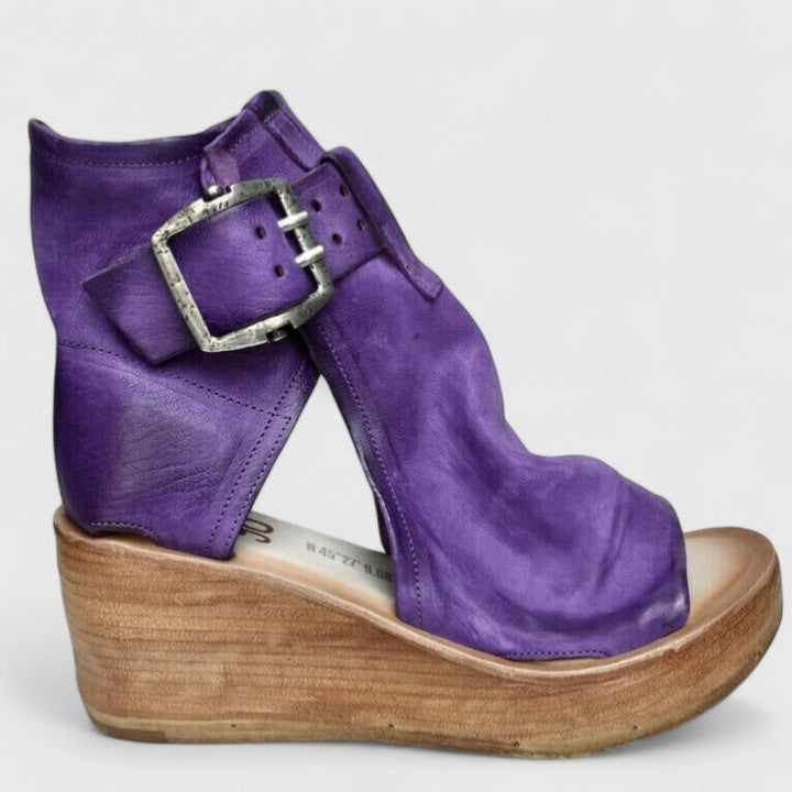 Violet / 35