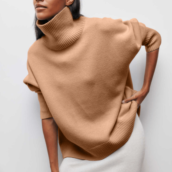 Évelyne | Pull classique à col roulé Marron, photo studio